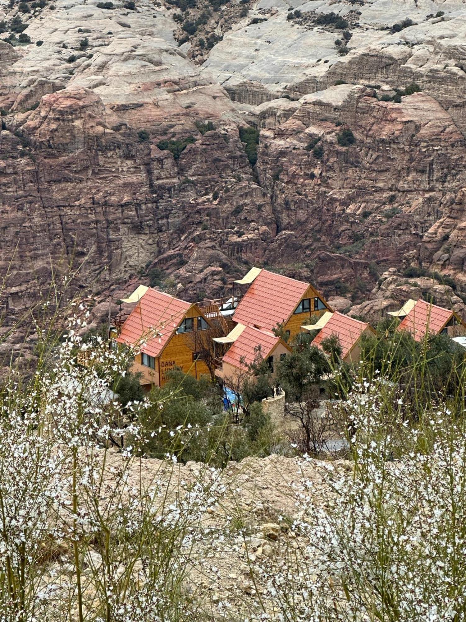 Dana Luxury Huts Hotel Exterior photo